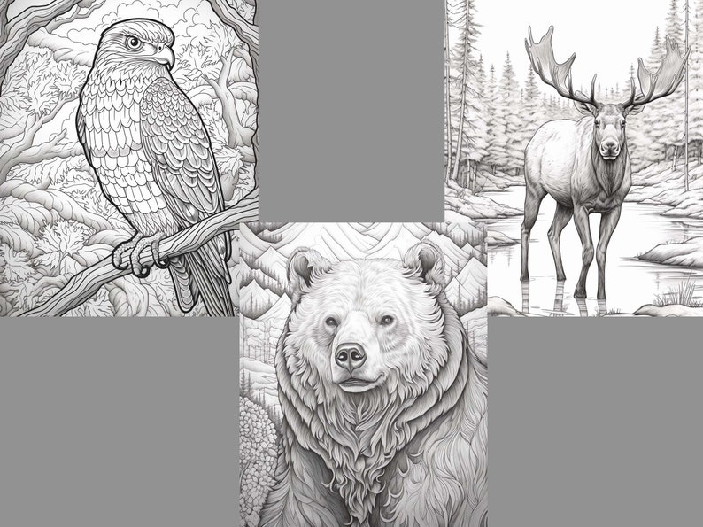 May include: A black and white illustration of four animals in a forest setting. A hawk perched on a branch, a bear with a mountain backdrop, a moose standing in a lake, and a forest scene.