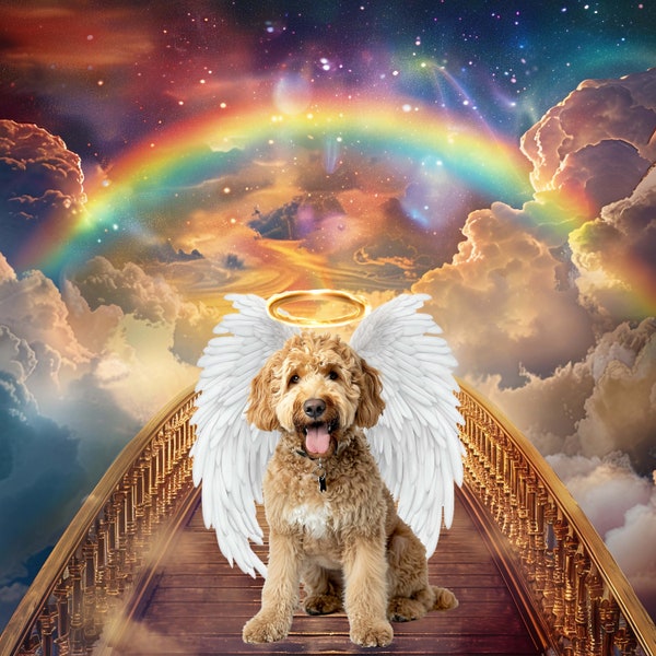 6 Golden Rainbow Bridge Memorial Background Backdrop, 8 Wings & 4 Gold Halos, Heaven Clouds Angel Pet Loss of Dog Cat Digital Downloads