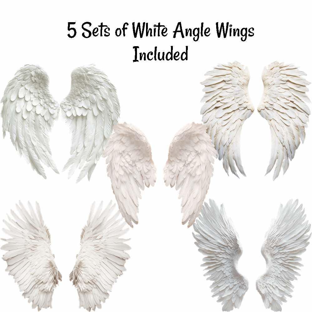 Rainbow White Bridge Clouds Angel Wings Pet Loss Memorial