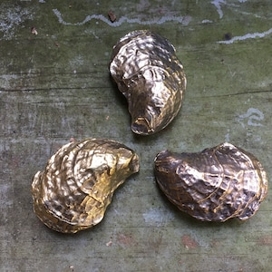 Chesapeake Oyster Shell Belt Buckle (brass) - Etsy