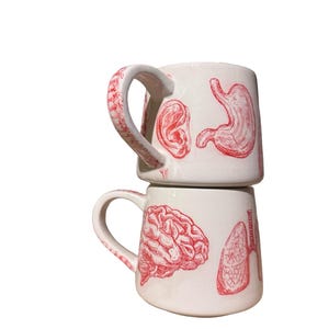 Taza de anatomía hecha a mano, taza de café de cerámica de 473 ml, taza de cerámica con ilustración médica, cerebro, corazón y pulmones - regalo de graduación de la facultad de medicina