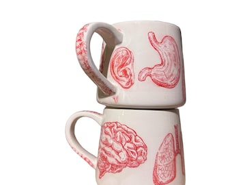 Handmade Anatomy Mug, 16 oz Ceramic Coffee Mug, Medical Illustration Pottery Cup, Brain Heart Lung - medical school graduation Gift