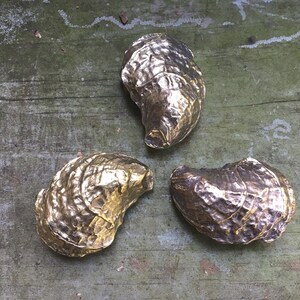 Chesapeake Bay Oyster Shell Buckle