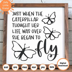 Butterfly SVG, Butterfly Quote SVG, Butterflies SVG, inspirational svg, popular svg, butterfly png, butterfly sign svg, butterfly vector