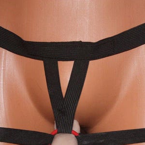 All in One Sport Harness-Used for Packer/STP/Play-All sizes