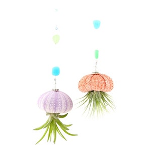 Coastal-Inspired Live Air Plant Sea Urchin Jellyfish - Handcrafted with Swarovski, Pearls & Sea Glass, Perfect Home Gift Set, 2 Pack