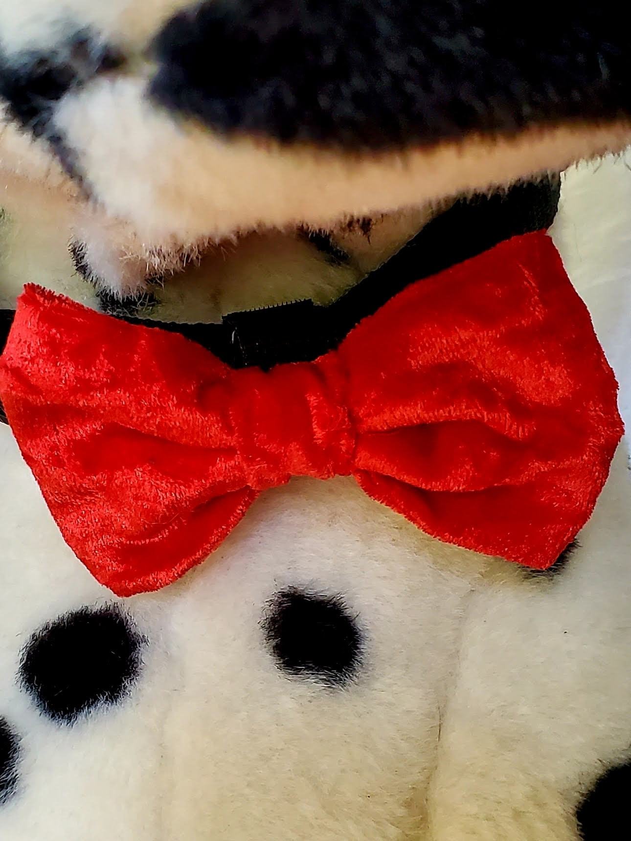 petsmart dog bow tie