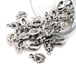 Könnte beinhalten: Eine Sammlung kleiner, silberfarbener Frosch-Anhänger mit einer Schlaufe zum Befestigen an Schmuck oder anderen Bastelarbeiten. Die Anhänger sind detailliert mit strukturierten Oberflächen und einem dreidimensionalen Design.