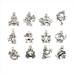 12 or 60 BULK Zodiac Character Signs, Astrology Birth Set, Silver Charms | Ships Immediately from USA | AS211