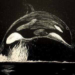 Midnight Orca Migration image 2