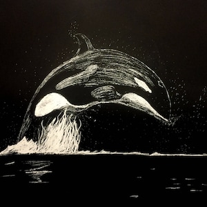 Midnight Orca Migration image 1