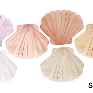 SAMPLE SET Scallop Sea Shell | Reusable FABRIC Wall Decals Peel & Stick | Beach Nursery, Ocean, Tropical, Under the Sea, Shell Stickers