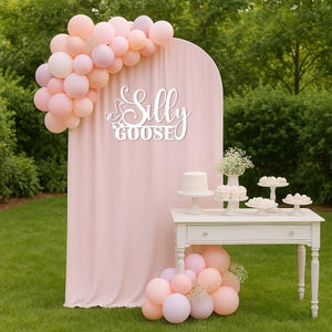 Puede incluir: Una escena de fiesta con un tel&oacute;n de fondo rosa, globos y una mesa blanca. El tel&oacute;n de fondo tiene las palabras "Silly Goose" en una fuente decorativa. Un pastelito blanco y otros postres est&aacute;n sobre la mesa. Un grupo de globos rosas est&aacute; en el suelo.