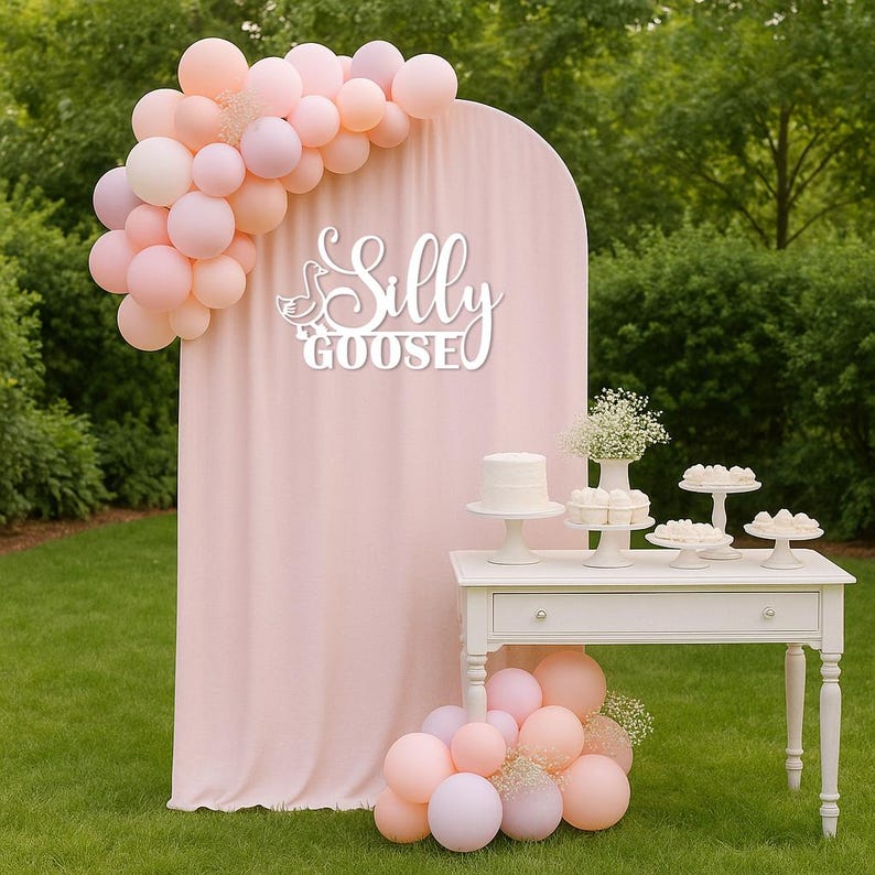 Puede incluir: Una escena de fiesta con un tel&oacute;n de fondo rosa, globos y una mesa blanca. El tel&oacute;n de fondo tiene las palabras "Silly Goose" en una fuente decorativa. Un pastelito blanco y otros postres est&aacute;n sobre la mesa. Un grupo de globos rosas est&aacute; en el suelo.
