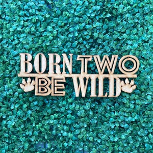 May include: Wooden sign with the text "Born Two Be Wild" in black lettering. The sign is decorated with two paw prints on either side of the text.