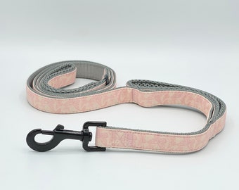 dog leash with two clips