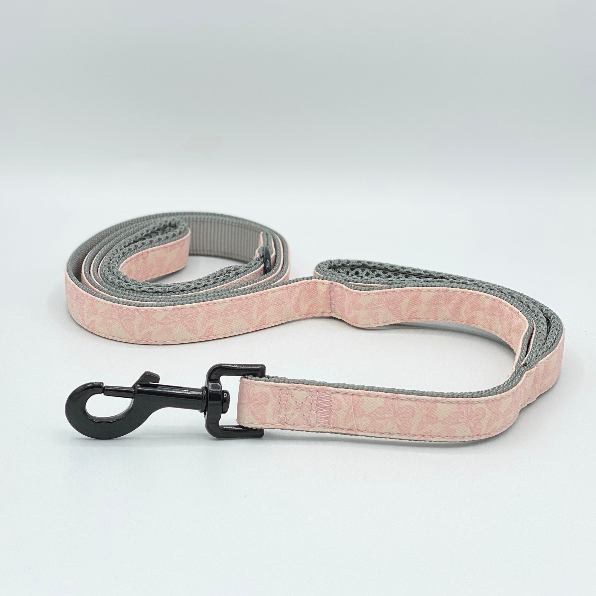 dog leash with second handle