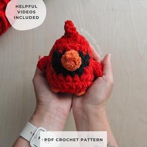 Schema per realizzare un mini cardinale paffuto all'uncinetto / Uccellino amigurumi / Download digitale in PDF