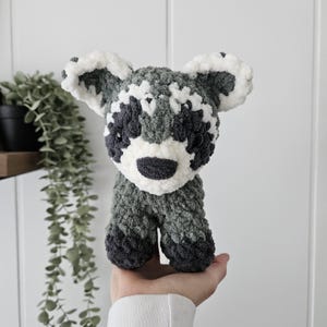 K&ouml;nnte beinhalten: Ein geh&auml;keltes Waschb&auml;r-Pl&uuml;schtier mit grauem und wei&szlig;em Fell. Das Spielzeug hat schwarze Augen und eine schwarze Nase.