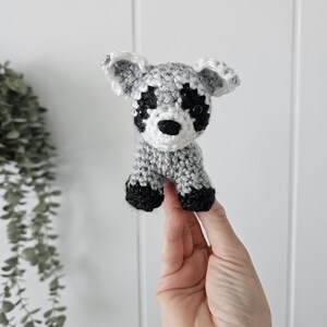 K&ouml;nnte beinhalten: Ein kleines geh&auml;keltes Waschb&auml;r-Spielzeug mit schwarzen Augen, einer schwarzen Nase und grauem und wei&szlig;em Fell.