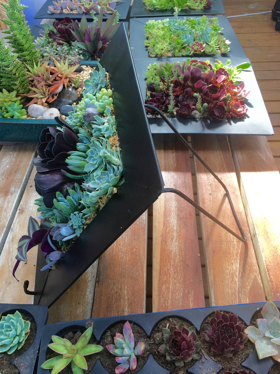 VERTICAL GARDEN KIT, With Planter, Wires for Grid, No Succulents, for