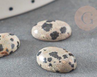 Ovaler Cabochon aus dalmatinischem Jaspis, ovaler Cabochon, natürlicher Jaspis, gefleckter Jaspis, 10x14mm, X1 G1568