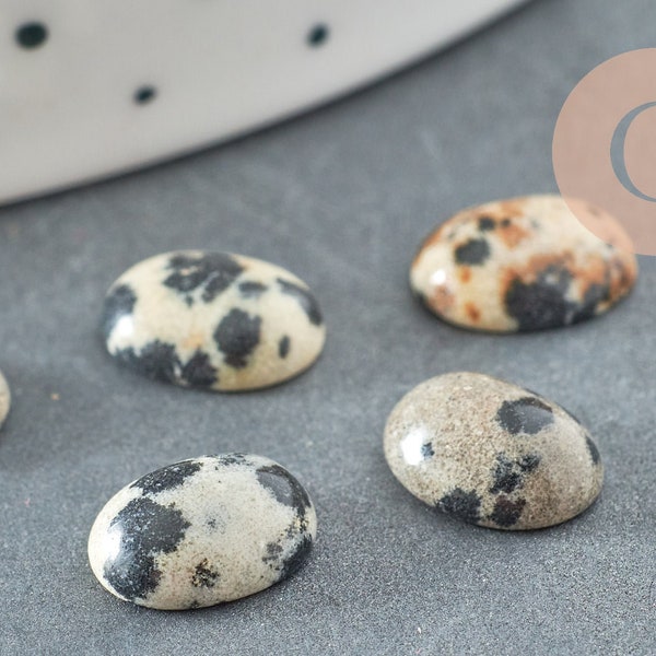 Cabochon ovale jaspe dalmatien,bijou pierre, cabochon ovale,jaspe naturel, jaspe taches,cabochon 10x8mm, pierre naturelle, X1 G1590