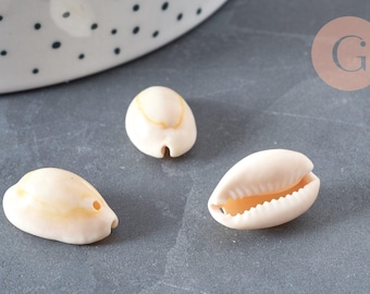Natural pierced cowrie shells, natural shells, beach jewelry, holidays, x 10-50-100 or 200 (G0583)
