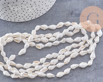 coquillages percés blanc, coquillages naturels,création bijoux, bijoux plage,vacances,bijou coquillage, le fil de 135-G1982