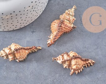 Natural Conch Shell Pendant in Gold, Gold Pendant, Seashell Jewelry, Gold Shell, 40-65mm - G1387