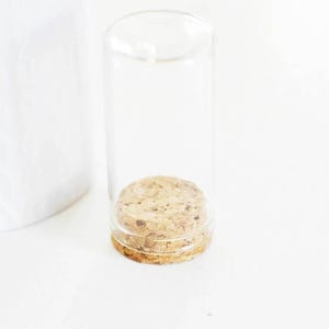 Glass tube bell jar with cork stopper 30x60mm-G0207