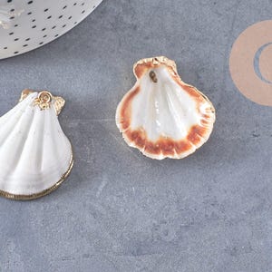 Natural shell pendant golden shell 32-42mm, x1 (G0096)