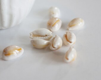 shells drilled cowrie shells, creative supplies, natural shells, creating jewelry, set of 10