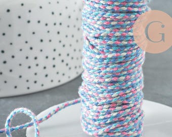2mm pink and blue braided cord, jewelry cord, multicolor scrapbooking cord, decorative cord, x 1 meter G5935