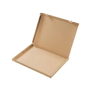 Cartons extra plat A4 350x250x20mm, un emballage pour vos expéditions, x10 G7058
