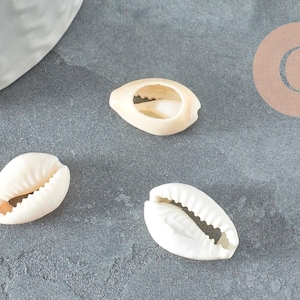Open cowrie shells 15mm, natural shells, beach jewelry creation, holidays, x10 or x50 (G2033)