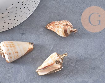 Natural spiral shell pendant in gold, gold pendant, jewelry design, shell jewelry, gold shell, 36-46mm-G6463