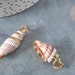 see more listings in the Shells section