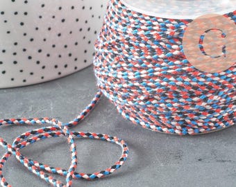 2 mm gevlochten koord in blauw, wit, rood en turquoise; veelkleurig scrapbookingkoord; decoratief touw; 1 meter G5859