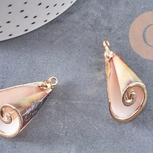 natural golden white shell 36-44mm, x1 (G2714)