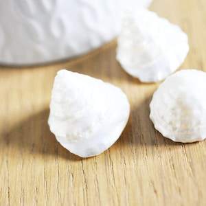 Natural white pearly shell sea snail, Tectus Conus pearly shell, natural shell jewelry, 4-5cm, x1 G4165