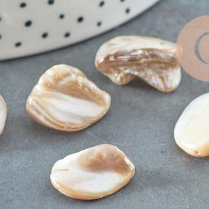 Natural mother-of-pearl shell nugget pearl 18-22mm, x5 (G2650)
