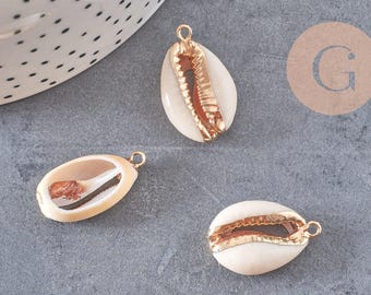 Natural open cowrie shell pendant, gold-plated, natural conch shell jewelry, 23mm, x1, G2296