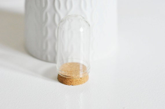Mini Cloche En Verre Et Support En Liège Cloche Verre | Etsy