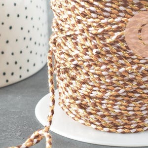 Cordoncino intrecciato marrone e beige con filo dorato, poliestere da 2 mm, x1 metro (G6210)