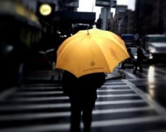 2 X Veuve Clicquot Champagne  Umbrella  Parapluie Automatic Fabulous Condition With Sleeve X 2