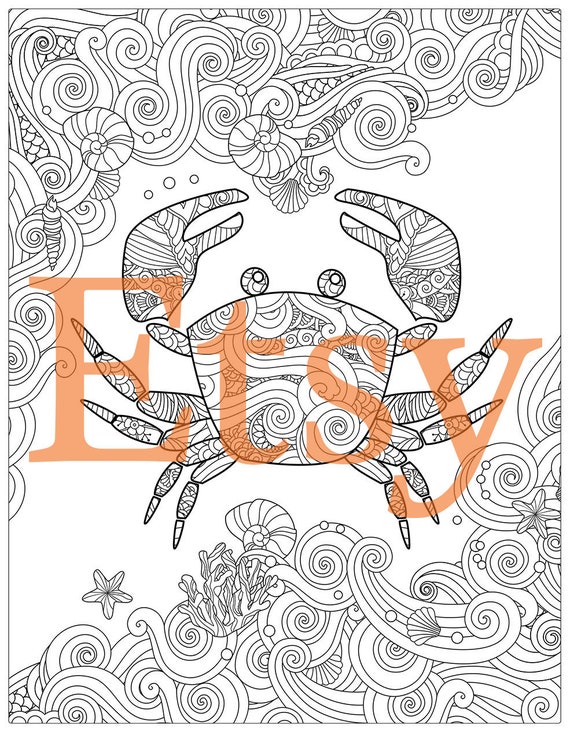 550+ Ocean Wonders Coloring Book Best HD