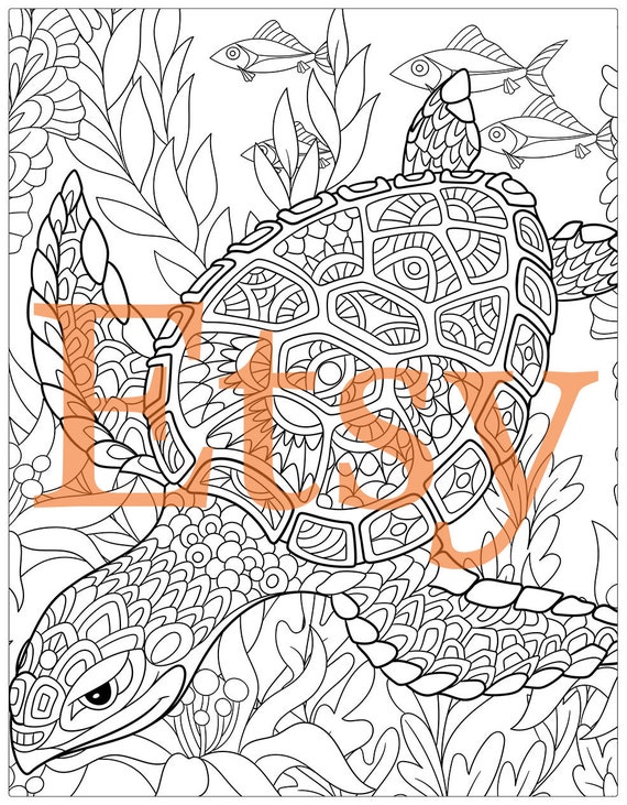 550+ Ocean Wonders Coloring Book Best HD