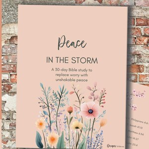 Puede incluir: Un estudio bíblico y diario devocional de color melocotón titulado "Peace in the Storm". La portada presenta arte floral en acuarela y el texto "Peace in the Storm". Incluye un plan de estudio de 30 días.