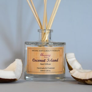 Può includere: Una bottiglia di vetro trasparente con un'etichetta di legno su cui è scritto "bloomey" e "Coconut Island Reed Diffuser Handmade Air Freshener 100ml/3.34 oz.". La bottiglia è piena di un liquido trasparente e ha bastoncini di legno inseriti al suo interno. Due metà di guscio di noce di cocco sono su entrambi i lati della bottiglia.